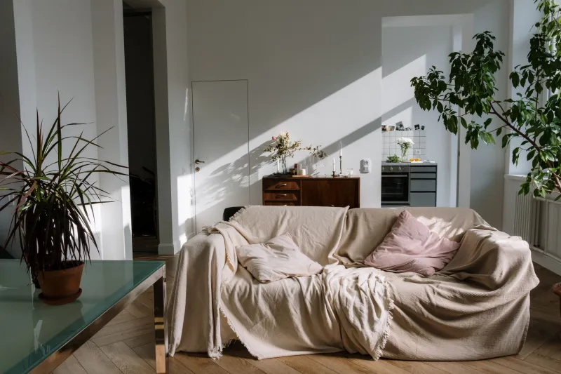 Your Brain on Home: The Science of Designing an Apartment That Actually Makes You Happy